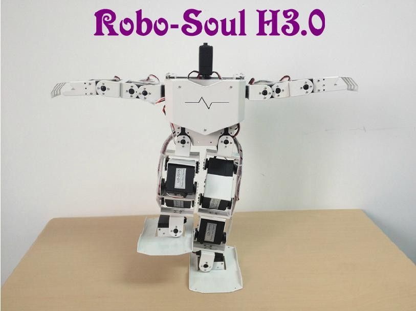 Robotics thiết bị Mô-men xoắn kỹ thuật số mô-men xoắn lớn Hỗ trợ 17 DOF Robot hình người